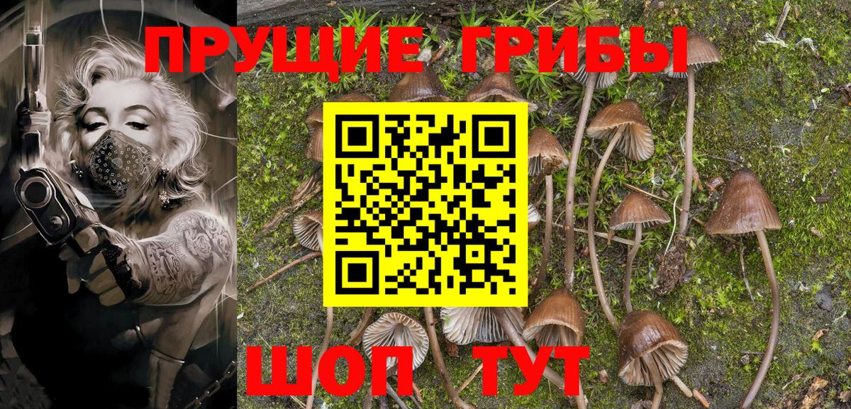 Галлюциногенные грибы MAGIC MUSHROOMS Всеволожск