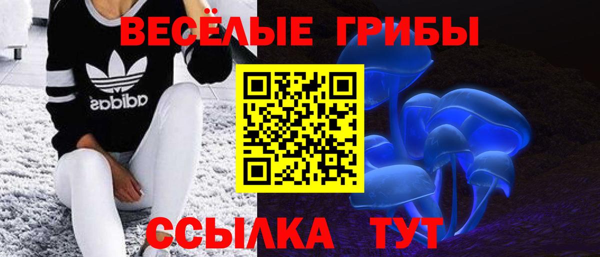 как найти закладки  Псилоцибиновые грибы мицелий  Вход с VPN  Всеволожск 